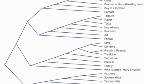 information architecture